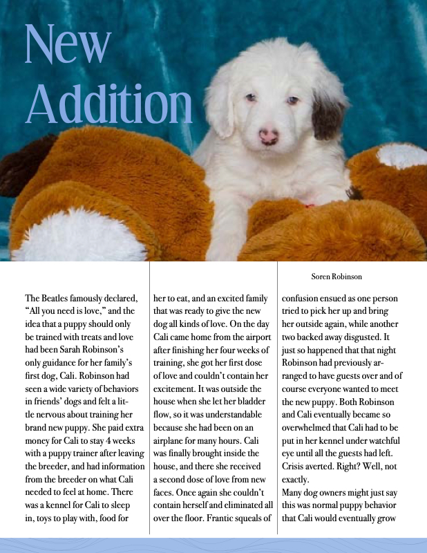 Article by Soren Robinson